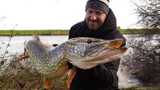 Chasing Giants - Epic Pike Fishing on the River Trent