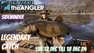 Sidewinder  Live 12 Dec Till 18 Dec 24 #Cotwtheangler