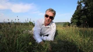 Slightly pissed laying in a field