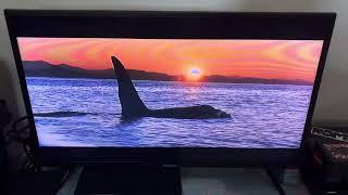 Opening/Closing To Free Willy (10th Anniversary Special Edition) 2003 DVD