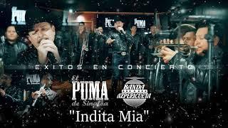 Puros exitos de concierto(El Puma de Sinaloa)