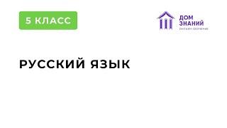 5 Класс. Русский Язык. Абдуллаева З.К. Тема: "Склонение имён существительных"