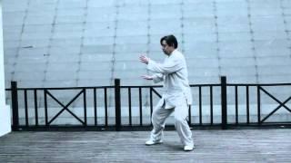 陳小星 Chen XiaoXing, Taijiquan Old and New Frame demo.