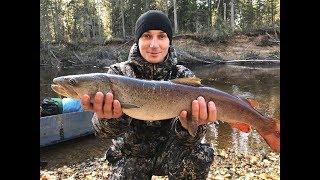 Ловля тайменя на реке Варья-Тапсуй-Северная сосьва