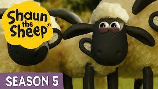 Shaun the Sheep Season 5  All Episodes (1-20)  Fun, Laughs & Adventure | Cartoons for Kids