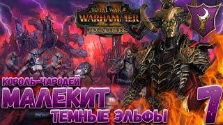 Total War: Warhammer 2 (Легенда) - Темные Эльфы: Малекит #7 Вторжение Хаоса и Норски!