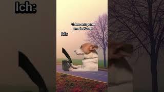 POV: Du gehst mit deiner Freundin ins Kino  #katzenvideos #katze #shorts #kino #freundin #katzen