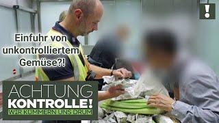 "Regeln sind Regeln!"  20kg illegal eingeführtes OBST & GEMÜSE abgefangen! | Achtung Kontrolle