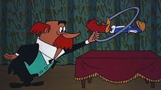 Woody Is Levitating! | 3 Hours of Retro Cartoons | Woody Woodpecker