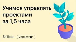 Управление задачами и ресурсами проекта за 1,5 часа. Интенсив для менеджеров проектов