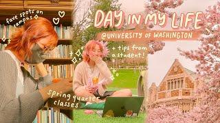 college life vlog ️ spring classes, cherry blossoms, & tips from a UW student!