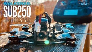  Finding the Perfect Sub-250g Budget Digital FPV Drone: A Dive into the DarwinFPV TinyApe25 HD! 