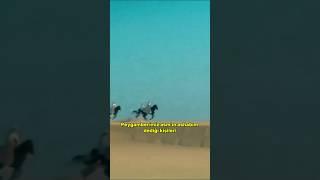 Peygamber Efendimizin Ashabım Dediği Kişiler