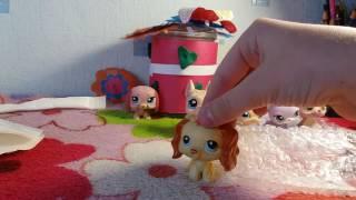 Новая РАСПАКОВКА lps Littlest Pet Shop | Hasbro стоячки,таксы!!!