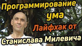 Оптимизация работы ума / Что и как воздействует на ум