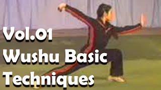 Beijing Wushu team - Vol.01 Wushu Basic Techniques