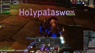 Blackwing Descent WR speedrun 20:50 - [Progress] - Holy Paladin POV