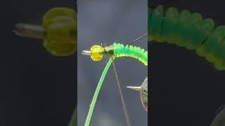 Tie this absolute weapon of a Caddis Fly Pattern. Perfect for any river.