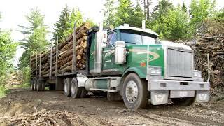 Maine's Professional Loggers: The Root of Maine's Forest Economy