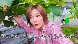 吃播在元朗 : 大棠有機生態園