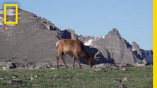 What Are Tundras? | National Geographic