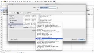 Umwandeln xls zu csv Datei