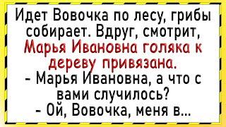 Как Вовочка моментом воспользовался! Сборник свежих анекдотов! Юмор!