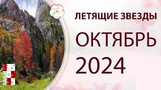 ФЭНШУЙ 2024: Прогноз по Летящим Звездам на ОКТЯБРЬ 2024