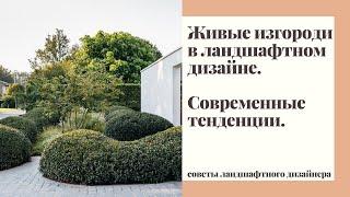 Живые изгороди в ландшафтном дизайне. Лучшие растения для живых изгородей.