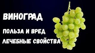 Виноград. Польза и Вред. Лечебные свойства.