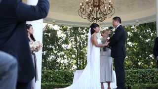 Dianne Morpurgo - Civil Marriage Celebrant Promo video