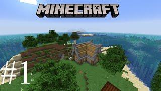 New World - Minecraft Survival Island Timelapse S2E1