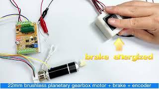 brushless dc motor with planetary gear from TT MOTOR