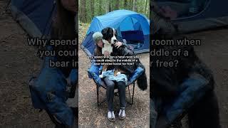 Camping with dogs ️ (I know this is the bear’s home) 🫶 #campingdog #campingwithdogs