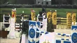 Delsino `Sporthorses from Holland` FOR SALE peter bulthuis