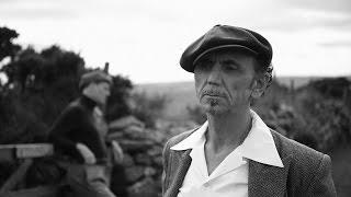 Dexys - Curragh Of Kildare (Official Video)