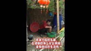 农家小院的乐趣，在晓丽的身上完全演绎，是你向往的生活吗