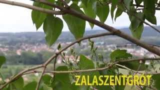 Pharrell Williams - Happy ( WE ARE FROM ZALASZENTGRÓT ) Official