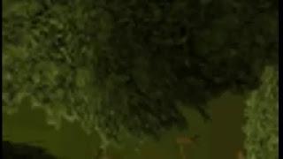 anthony Dunn Live Stream