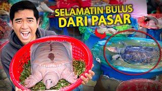 SELAMATKAN BULUS HAMPIR DIP0T0NG DARI PASAR!