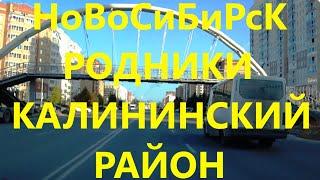 Родники Мясниковой Тюленина Курчатова Невского Богдашка Калининский район Скоморохи Новосибирск Сиб