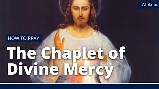 How to Pray the Divine Mercy Chaplet (Spoken)