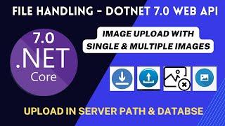 Image handling in .NET Core Web API | Image upload with single & multiple files in Server path & DB