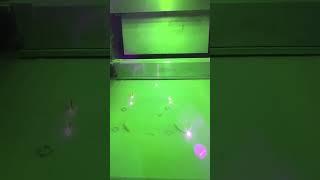i3DP正鍀科技 SLM430金屬列印八雷射雙向鋪粉--鞋模具列印--什麼?直接金屬3D列印模具啦!!