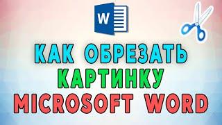 Как обрезать картинку в Microsoft Word