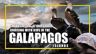 One Week Cruise In The Galapagos Islands: Our Family's Wildest Adventure Yet!