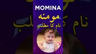 Momina Name Meaning In Urdu | Momina Naam Ka Matlab | #shorts #shortvideo #shortsfeed