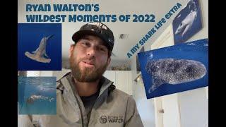 MY SHARK LIFE -Ryan Walton's TOP 6 WILDEST Moments Of 2022!  (@WildlifeWithRyan 2022 ) #Vlog #sharks