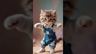 Fluffy Kitty