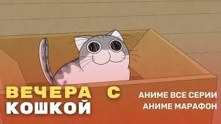 Вечера с кошкой - Все серии - Аниме марфон